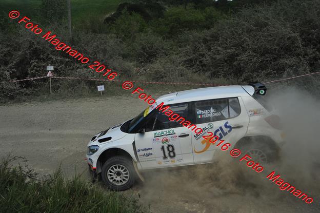 DSC_5546.JPG